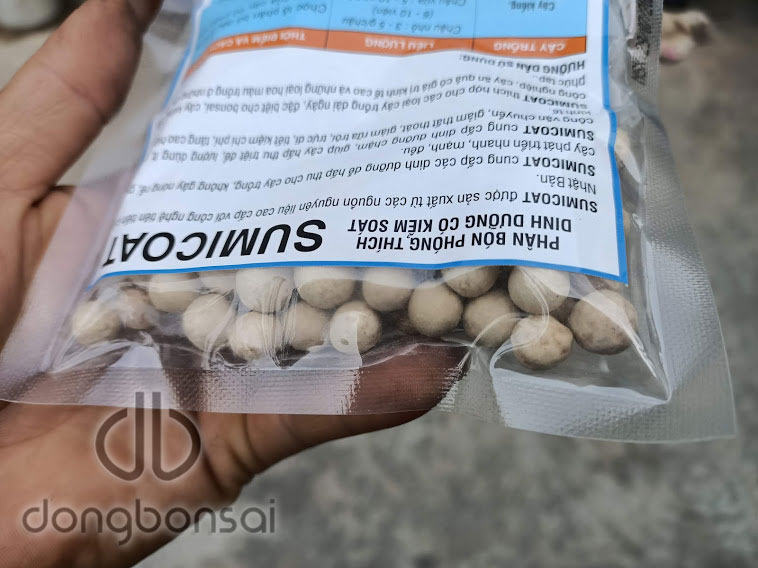 Phân tan chậm Nhật Bản Sumicoat 16-19-16 Gói 100g (Bón 1 lần tốt 1 năm)