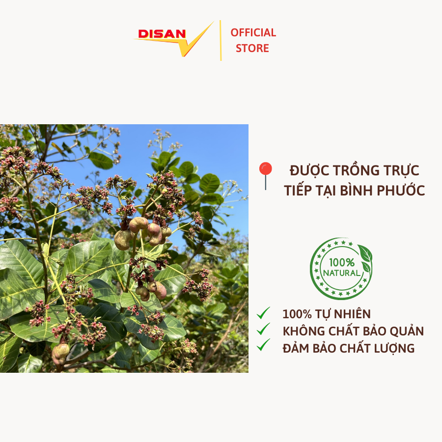 HẠT ĐIỀU XẾP HOA RANG MUỐI VỎ LỤA 500GR