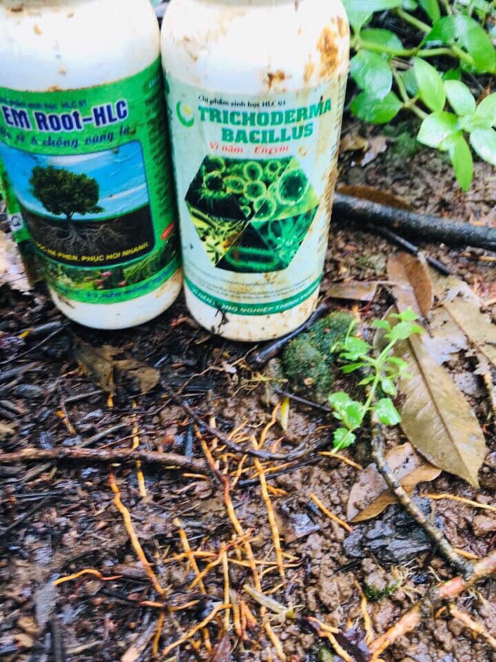 Chế phẩm sinh học TRICHODERMA - BACILLUS HLC 250ML