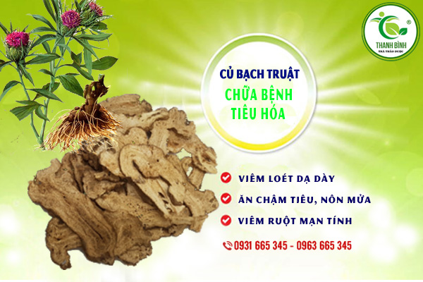 Củ Bạch Truật Khô 100G Hàng Cao Cấp - Thảo Dược Thanh Bình