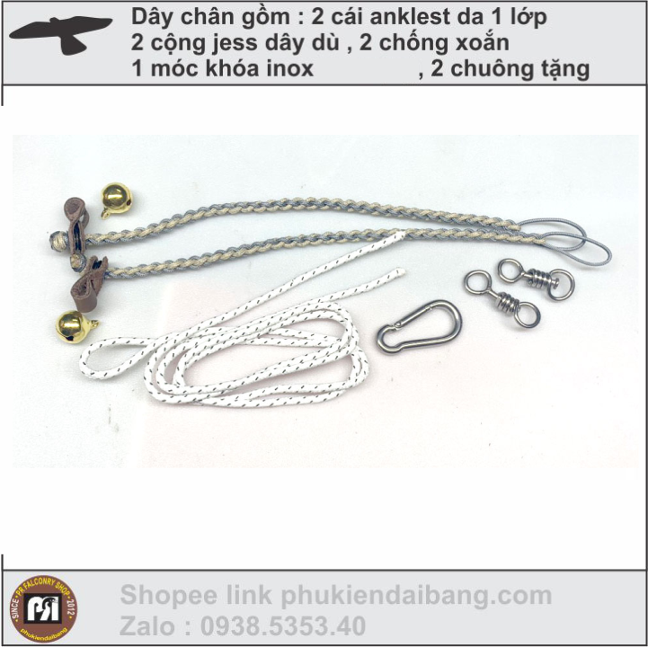 [HCM]Phụ kiện chim ưng shikra