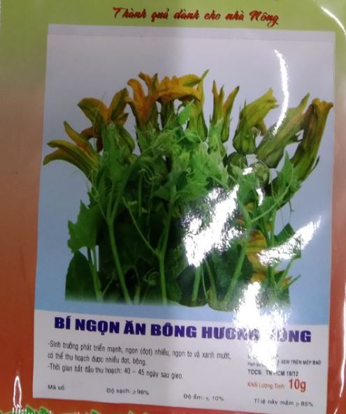 HẠT BÍ NGỌN ĂN BÔNG - GÓI 10 GRAM