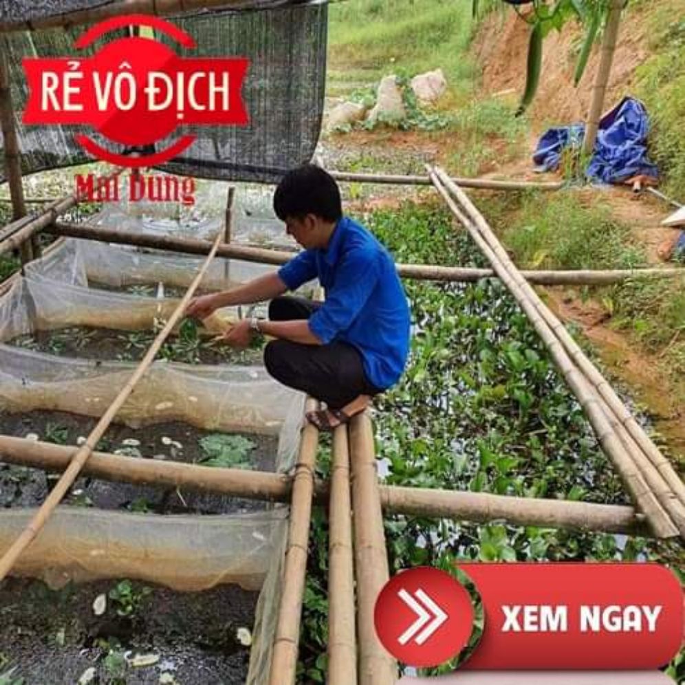 Tráng lưới nuôi ốc ếch cá mới nở 2x1x1