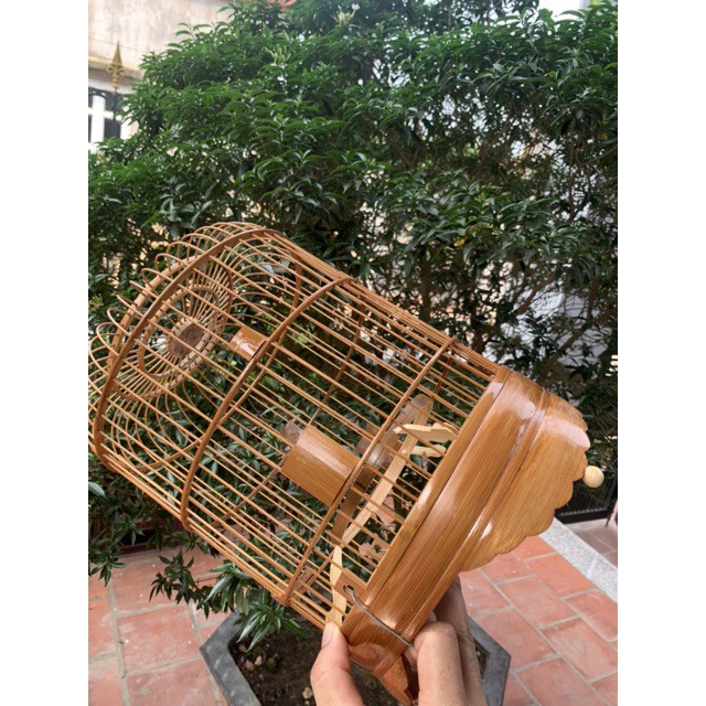 Lồng khuyên xử lý size 22 x 30cm LC29
