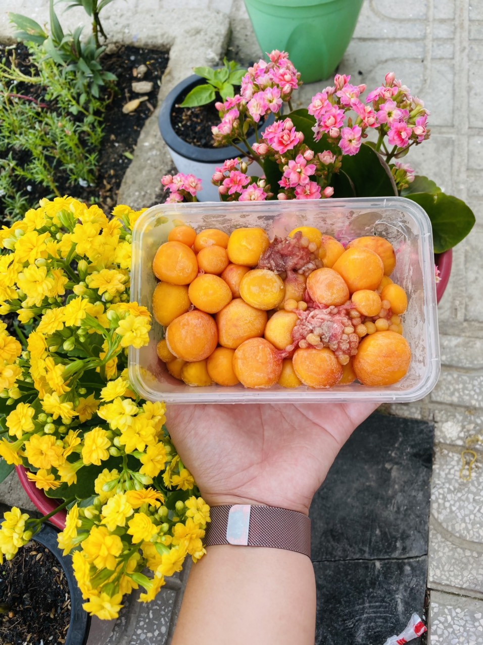 [GIAO NHANH 2H HCM] Giá sỉ 1Kg Trứng Gà Non