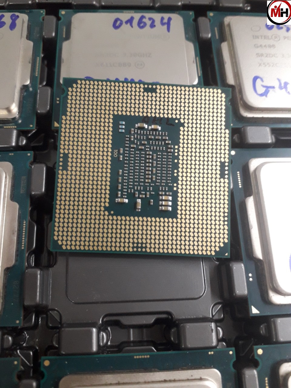 CPU G4400 socket 1151 tặng keo tản nhiệt