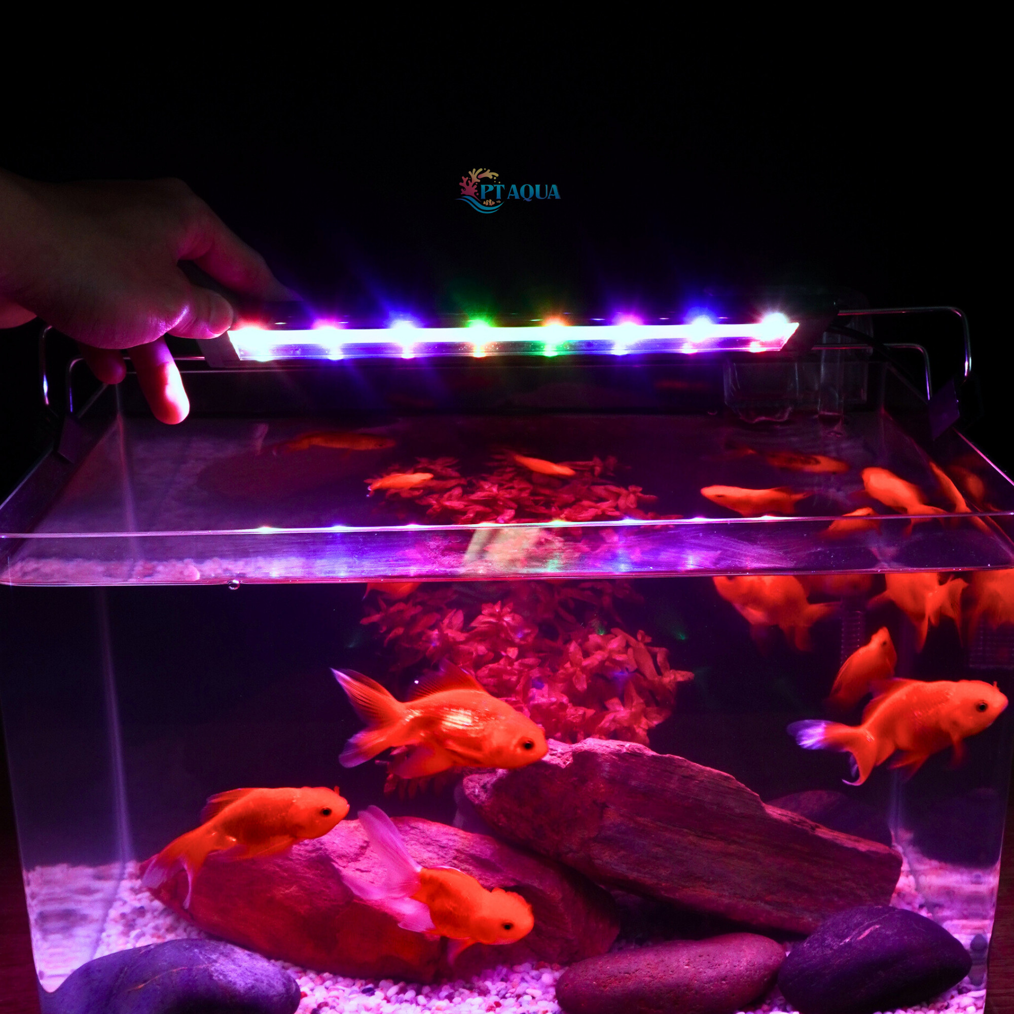 Đèn bể cá 20 - 110cm ĐỔI MÀU với 3 chế độ màu khác nhau