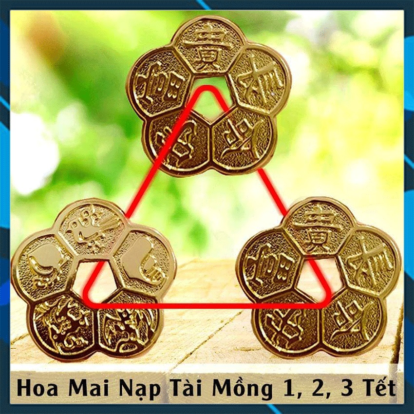Đồng Xu Hoa Mai Kim Tiền