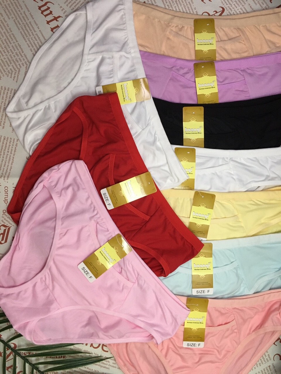 Combo 10 quần lót cotton túi Thái Lan (TL.843)