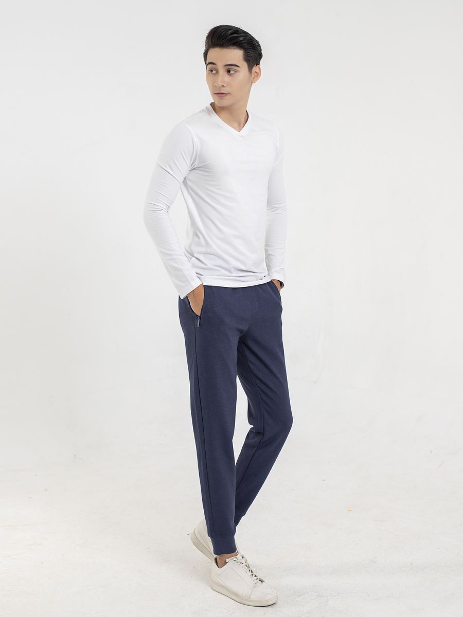 Quần Thu Đông Aristino APA004W9 Regular có M/L/XL