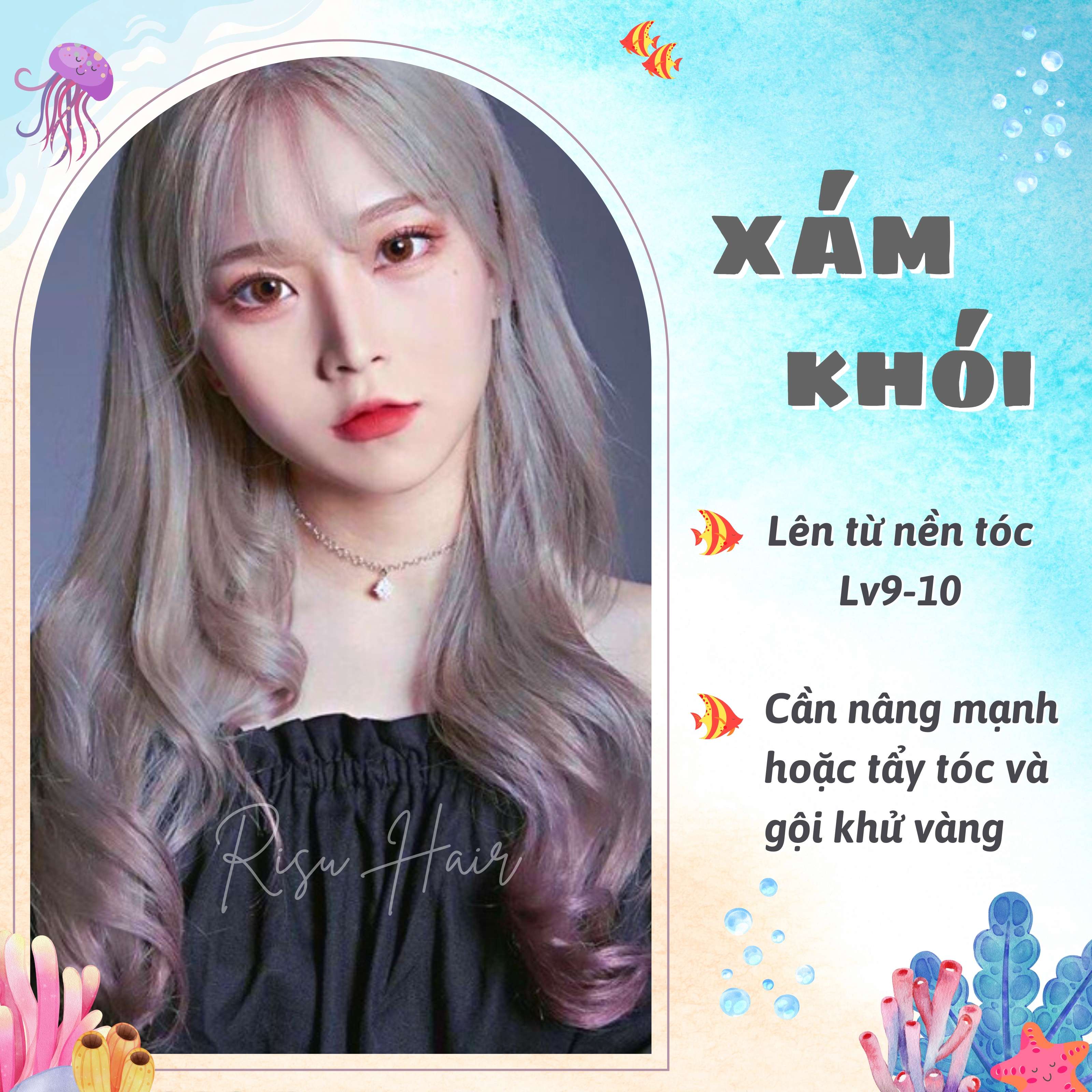Thuốc Nhuộm Tóc Màu Xám Khói - Risu Hair.