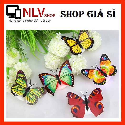 [HCM]Đèn LED hình con bướm xinh xắn dán tường