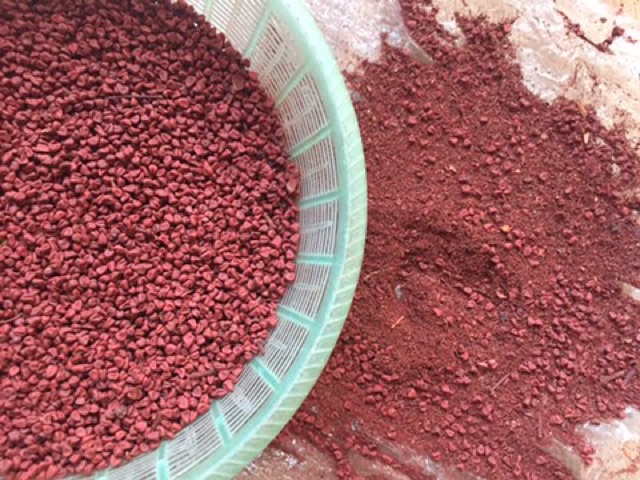 Hạt điều đỏ ( hạt cari ) (gói 500g hút chân không)