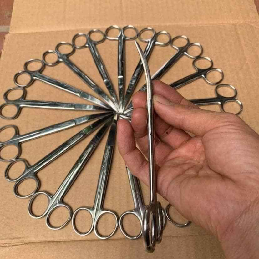Kéo cắt tai tích, cắt lông cho Gà