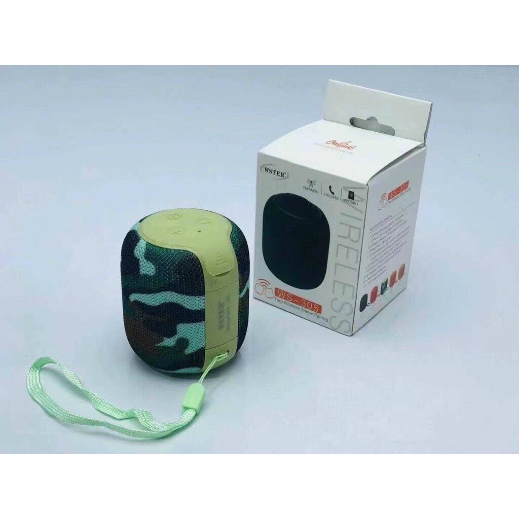 LOA BLUETOOTH WSTER WS-309 ÂM THANH CỰC HAY