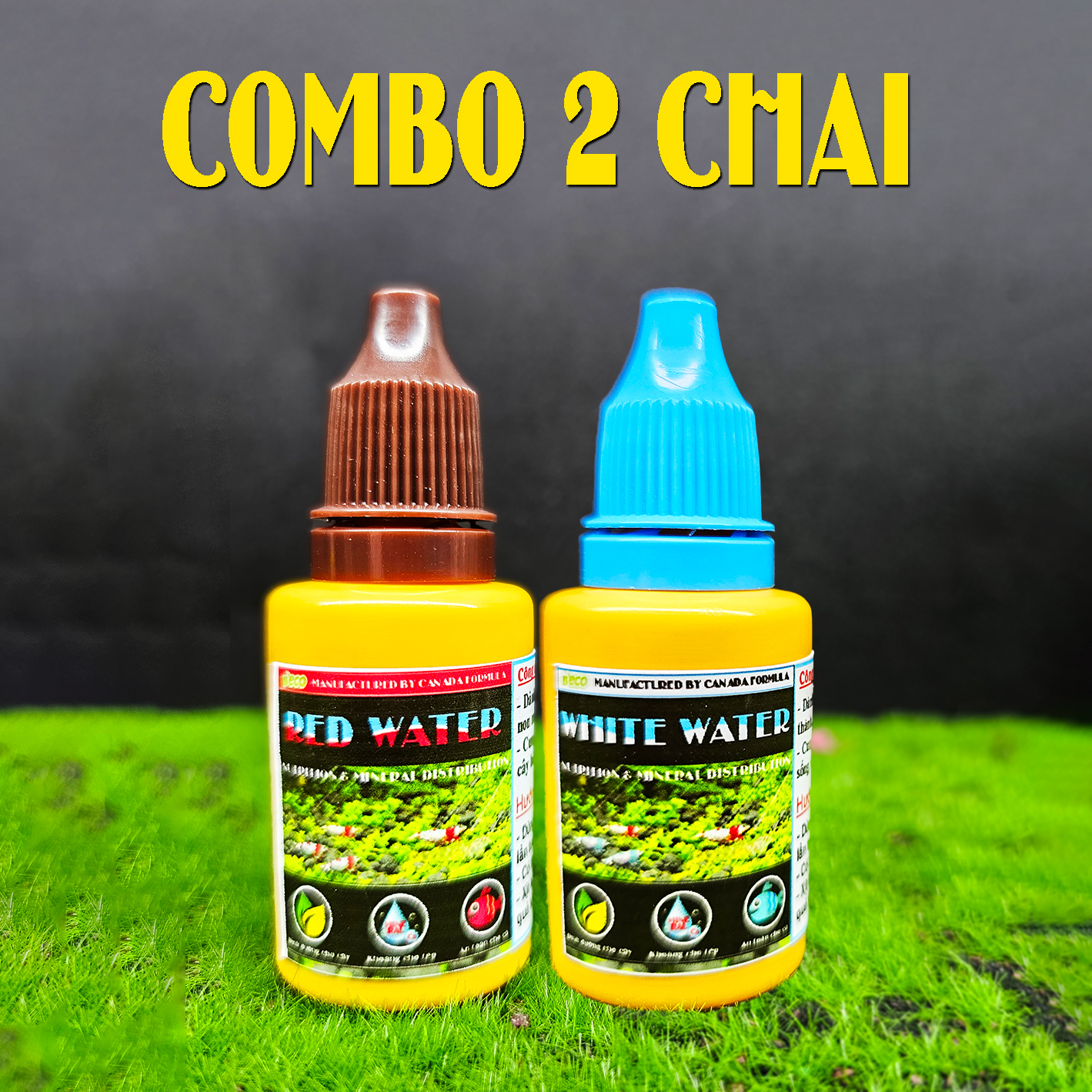 Combo phân nền và hạt giống cây thủy sinh, Hạt giống sen mini đủ màu trang trí bể cá hòn non bộ