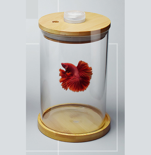 Bể cá chọi Betta-03 Bể cá mini để bàn
