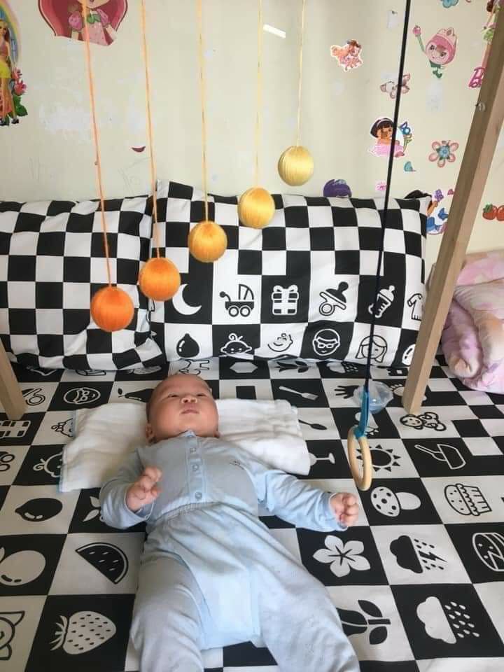 GA CHỐNG THẤM GOODMAMA KT 1m8*2m*10cm ( ko vỏ gối)