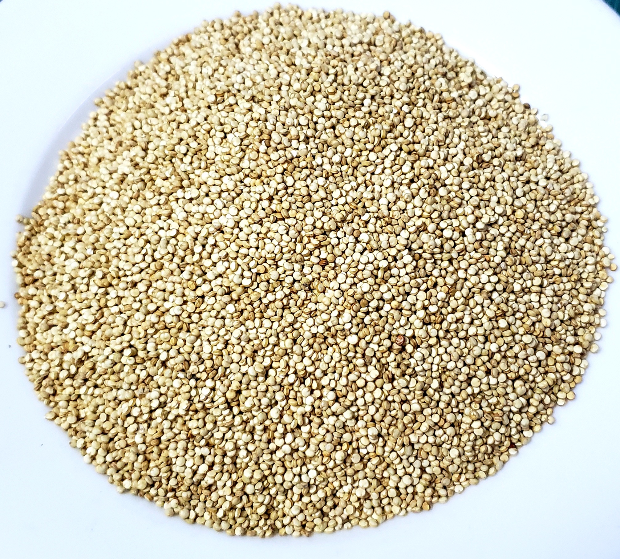 Hạt Quinoa (hạt Diêm Mạch)- nhập khẩu Peru, 500g