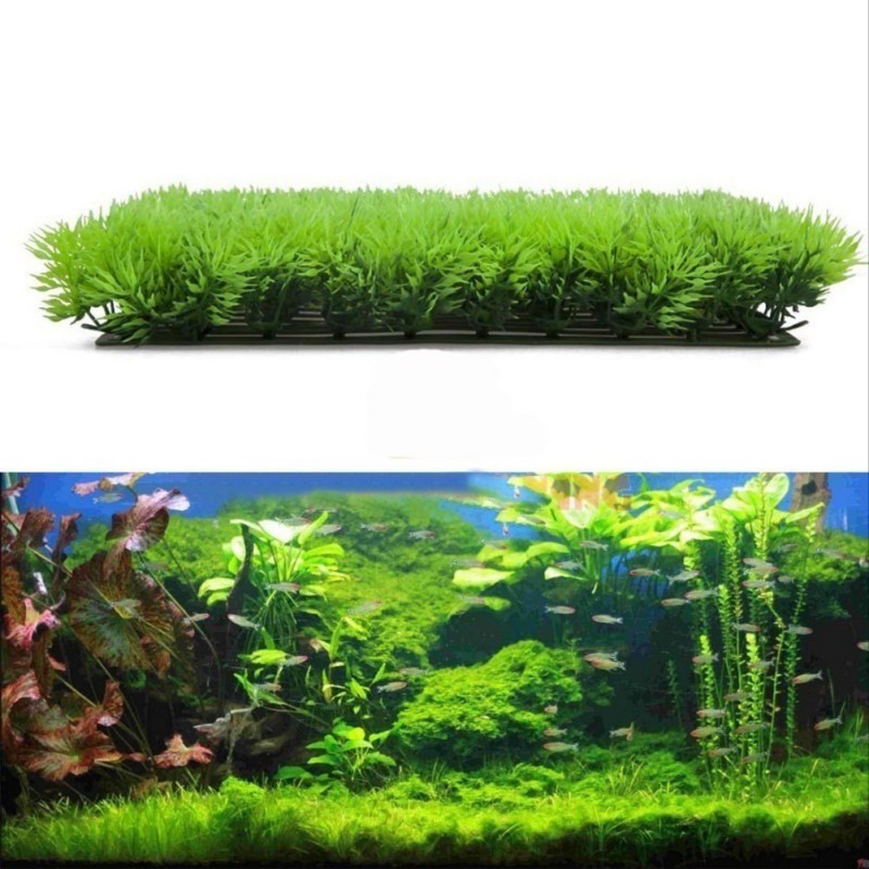 Thảm Cỏ Trang Trí Hồ Cá 25x25 - Thảm Cỏ Lót Hồ