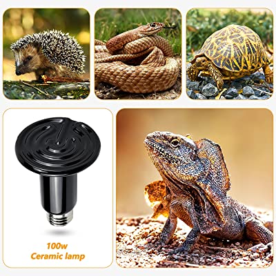 Đèn sưởi đêm dành cho bò sát 100W