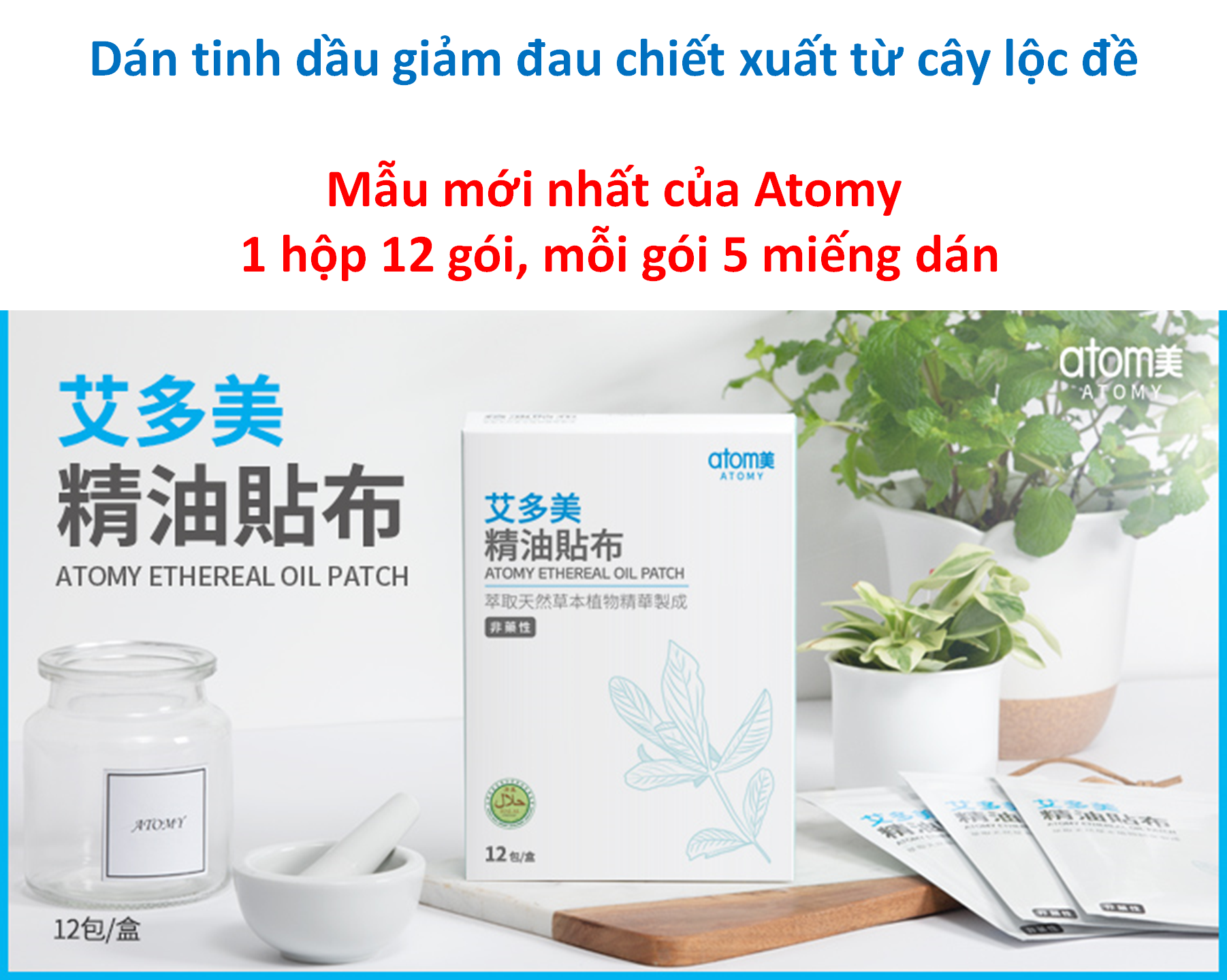 Miếng dán giảm đau chiết xuất tinh dầu lộc đề, đau cơ, mỏi vai gáy, bắp chân nhanh chóng và lâu dài, an toàn không gây kích ứng - atomy Ethereal oil patch (mẫu mới) (1 hộp 12 gói x 5 miếng) - Atomy Ethereal Oil Patch - 애터미 에테리얼 오일 패치 - Atomy Эфирное масло
