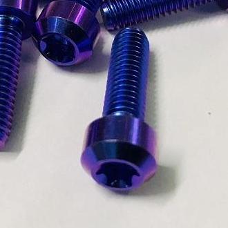 5 con Ốc Titan GR5 Đầu Trụ 6li 2 Xanh Tím (Titan 100% )
