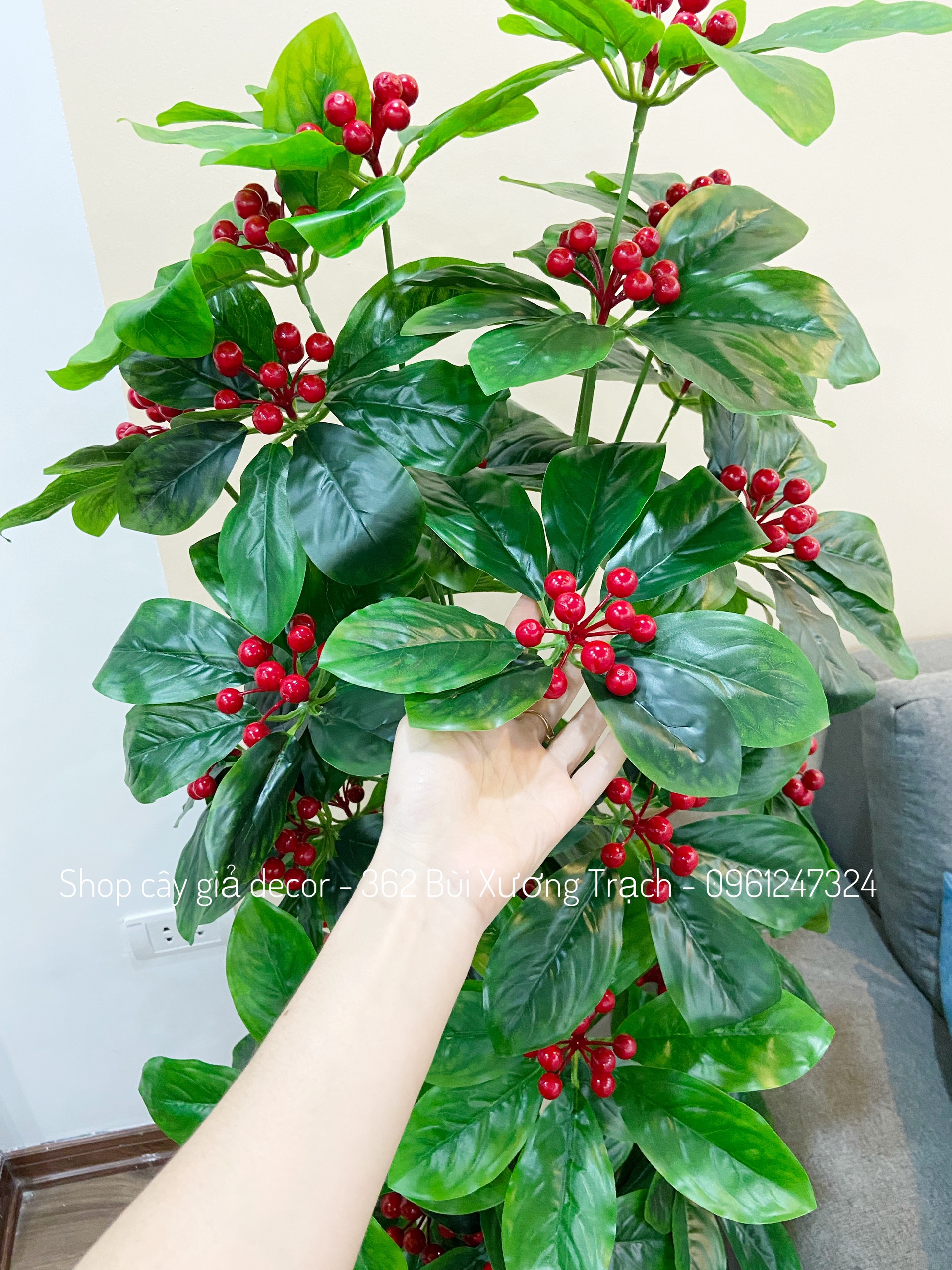 Cây kim ngân lượng m4 - cây giả decor