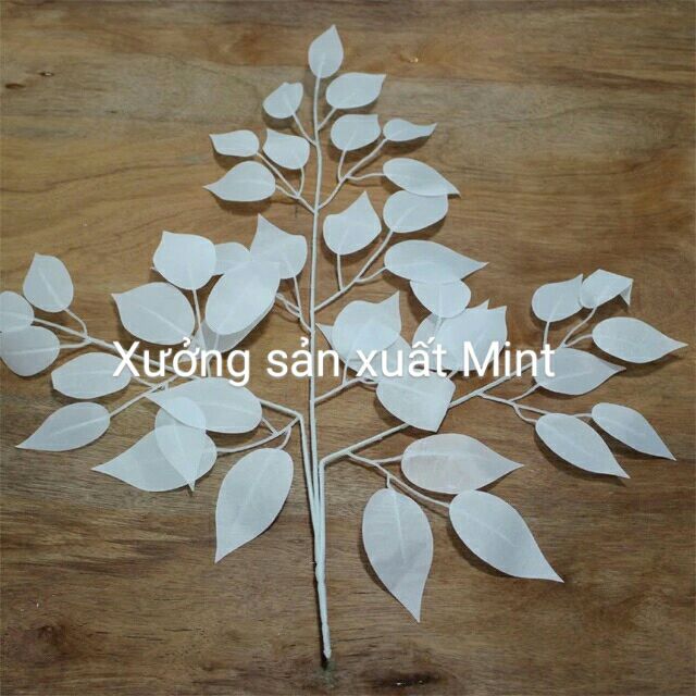 Sỉ bó 10 Cành lá si trắng - Lá giả