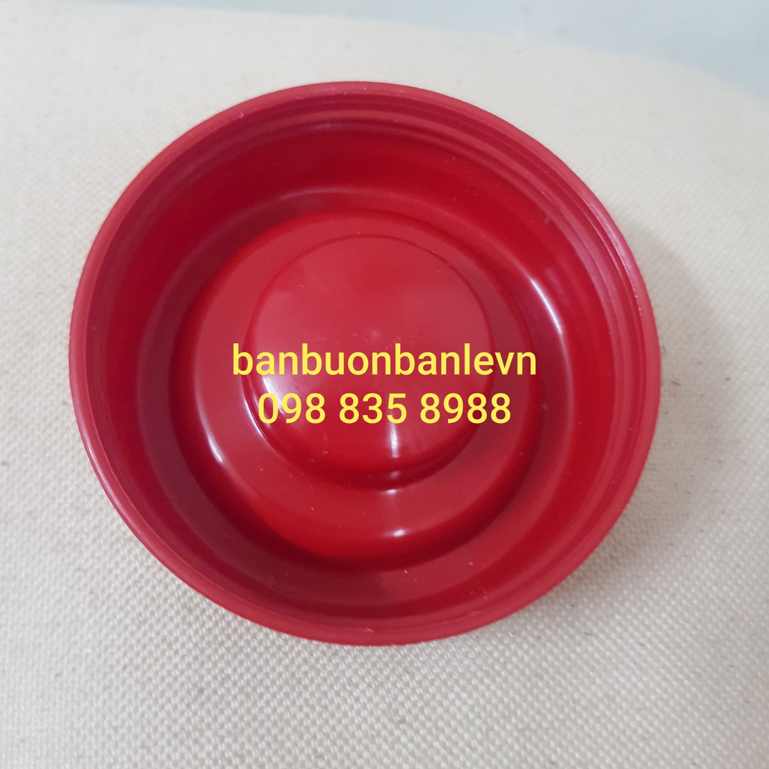 Nắp phích nhựa 3 lít 2 Rạng Đông 3245N1.E