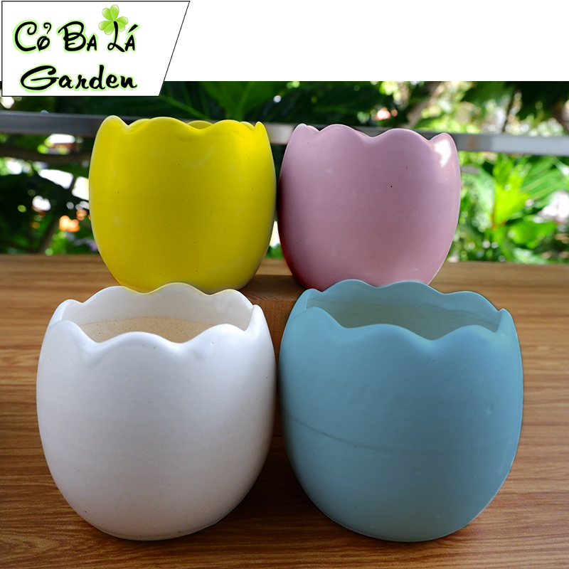 chậu sứ bát tràng Hình Trứng 8x8cm