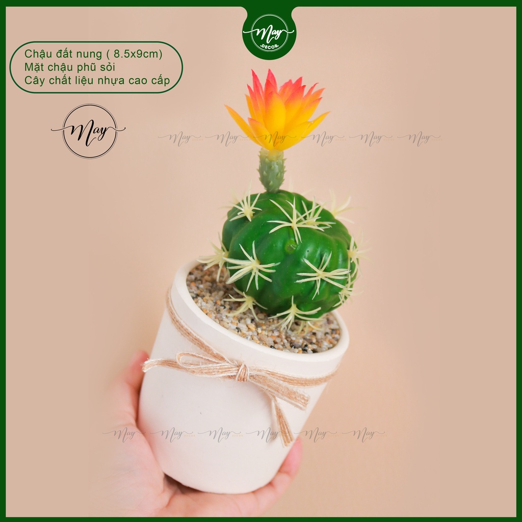 Chậu xương rồng giả hoa cam, trang trí để bàn