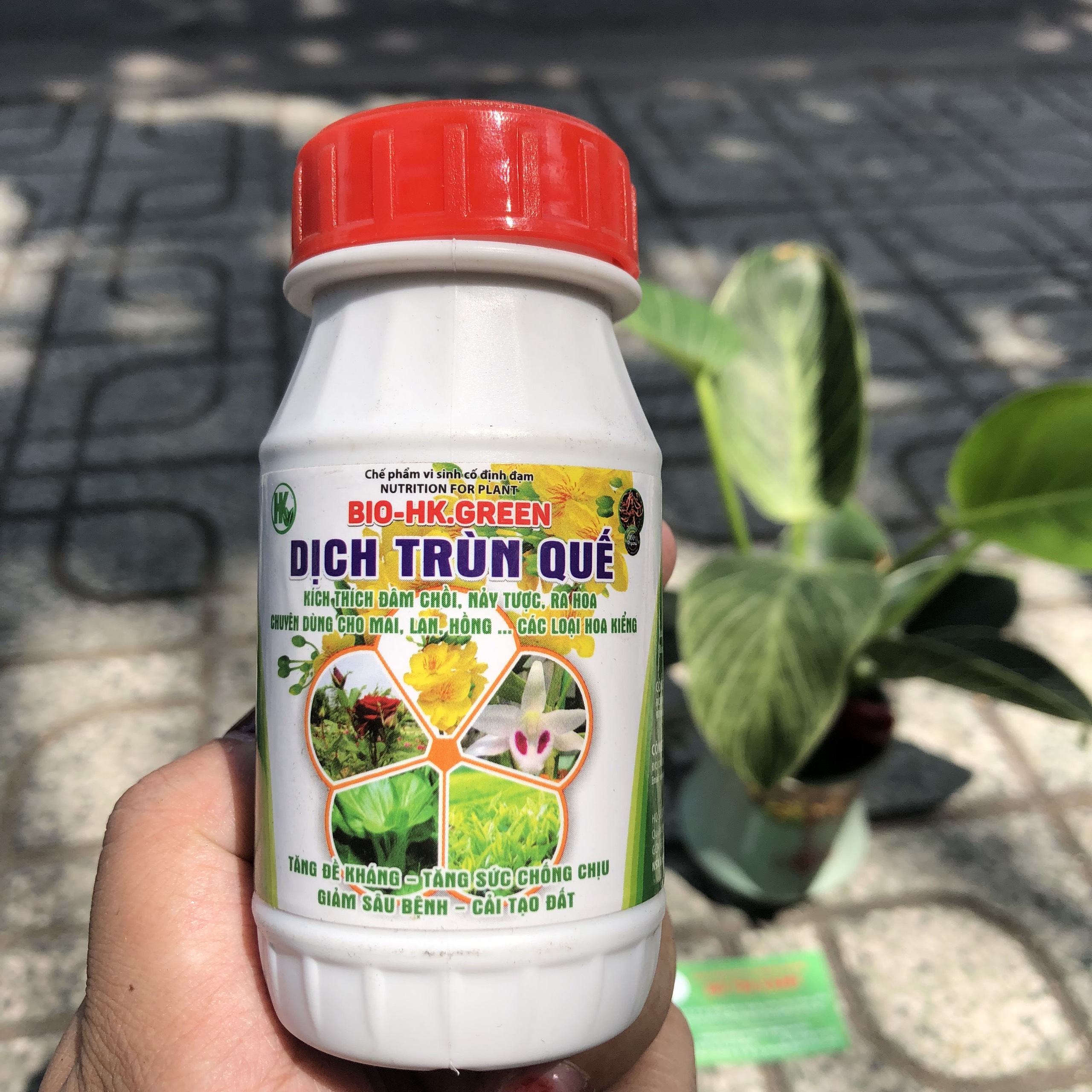 Phân trùn quế thủy phân, dịch trùn quế BIO GREEN đâm chồi mướt lá chai 100ml