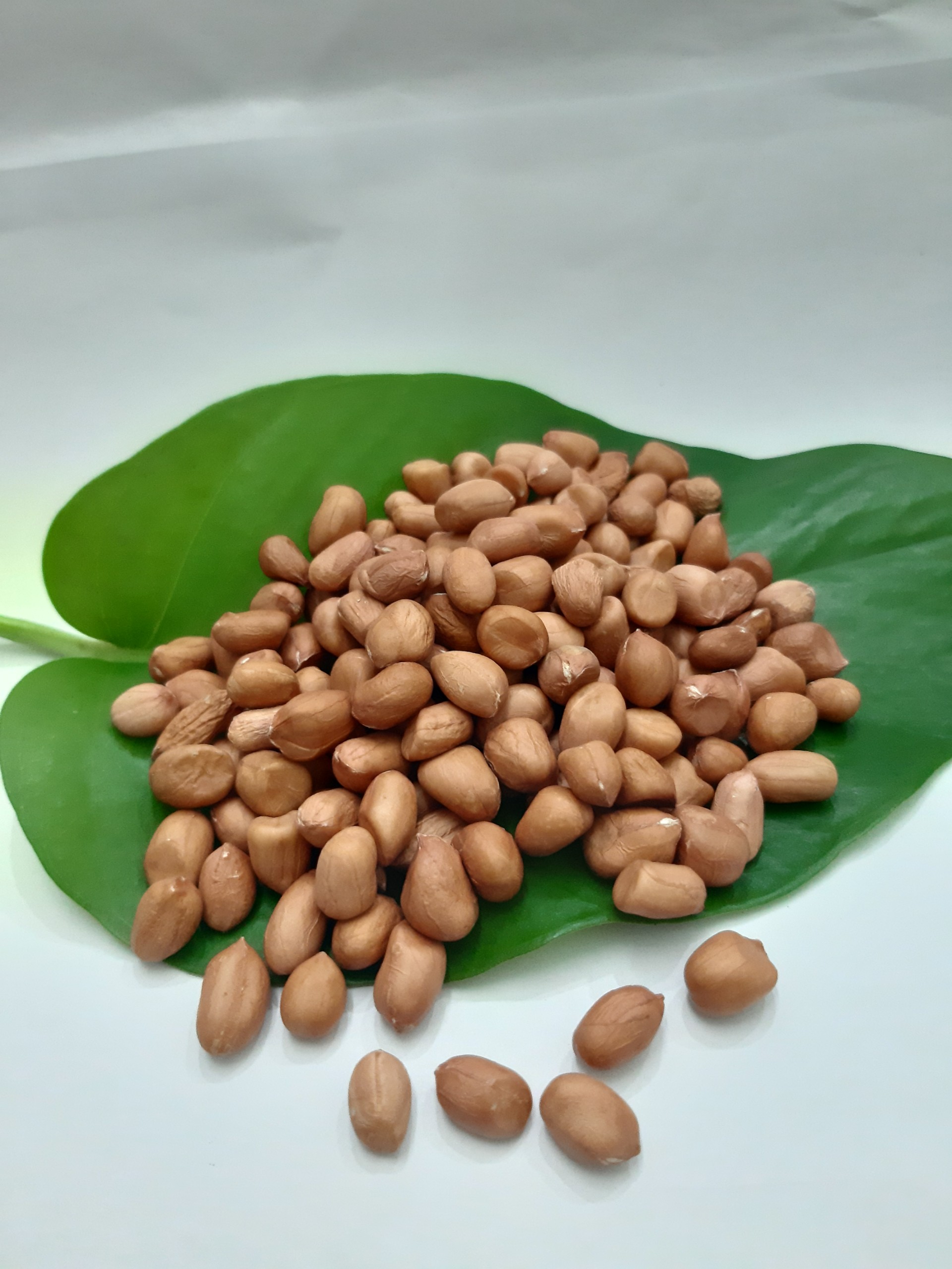 ĐẬU PHỘNG PHÚ MINH TÂM 450G