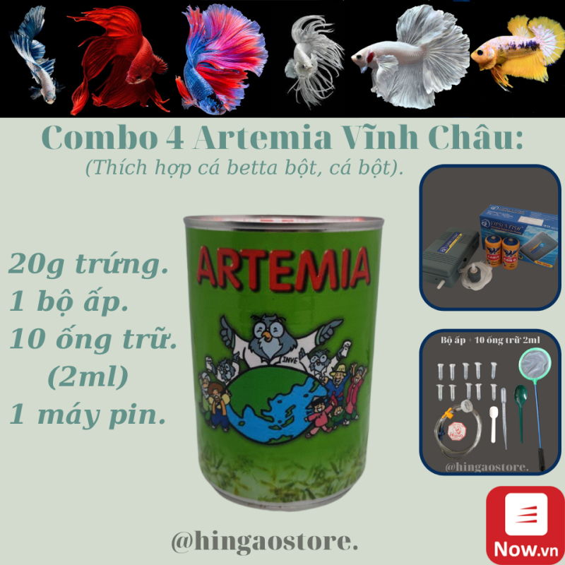 Combo 3 : 20g Trứng Artemia Mỹ + Bộ Ấp + 10 Ống Trữ + Máy Oxi 2 Vòi - Thức ăn cá betta bột, cá bột Hingaostore.