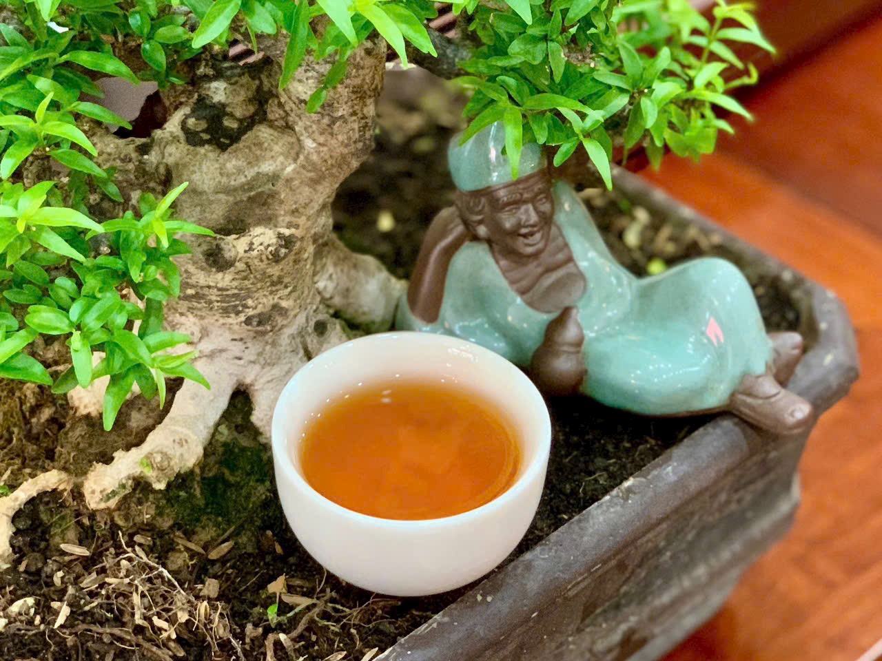 TRÀ Ô LONG LÃO - QUÀ TẶNG Ý NGHĨA - ORGANIC OOLONG TEA - 100g VIỆT LONG TRÀ