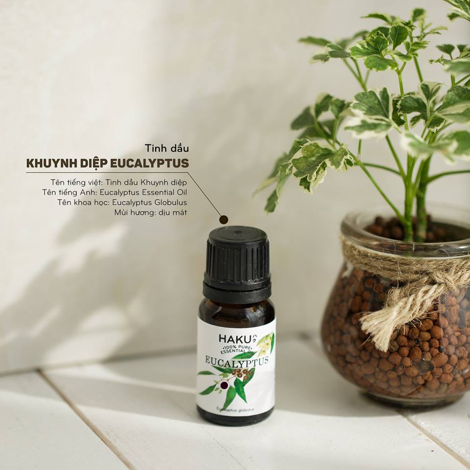 Eucalyptus Essential Oil