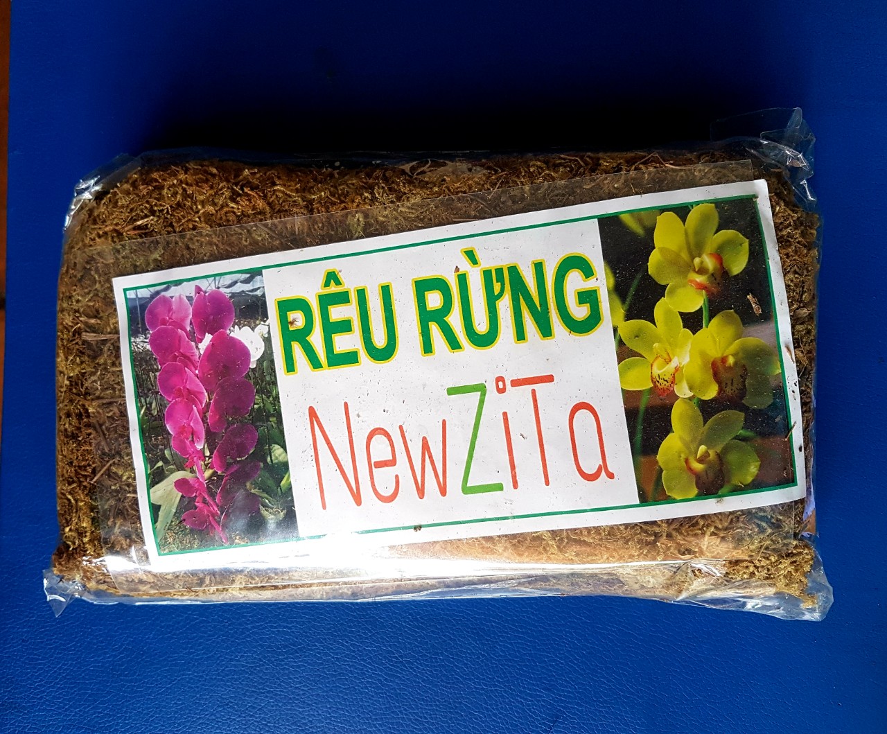 [HCM]RÊU RỪNG TRỒNG LAN