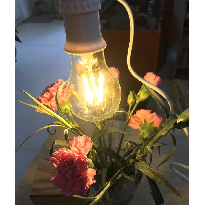 [COMBO 2 ]  Bóng Đèn Led Trang Trí EDISON nhiều loại