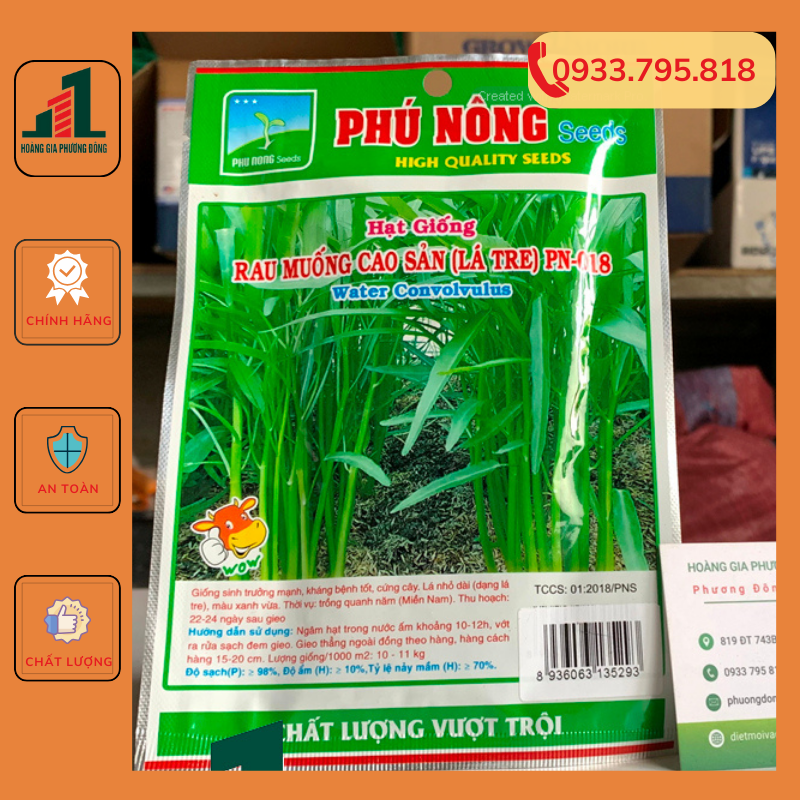 Combo 5-10 gói hạt giống Rau muống năng suất cao tăng trưởng tốt - gói 50g