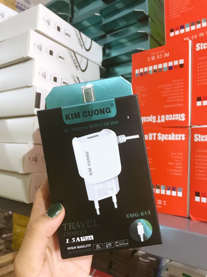 Sạc Micro USB Kim Cương 813