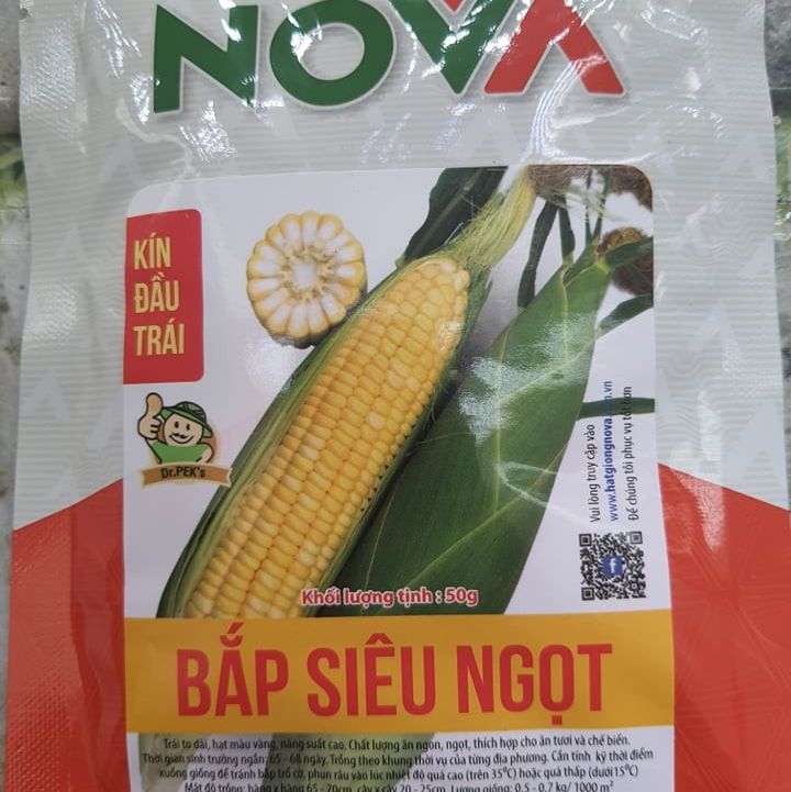 Hạt giống bắp siêu ngọt vàng NOVA- gói 50gram