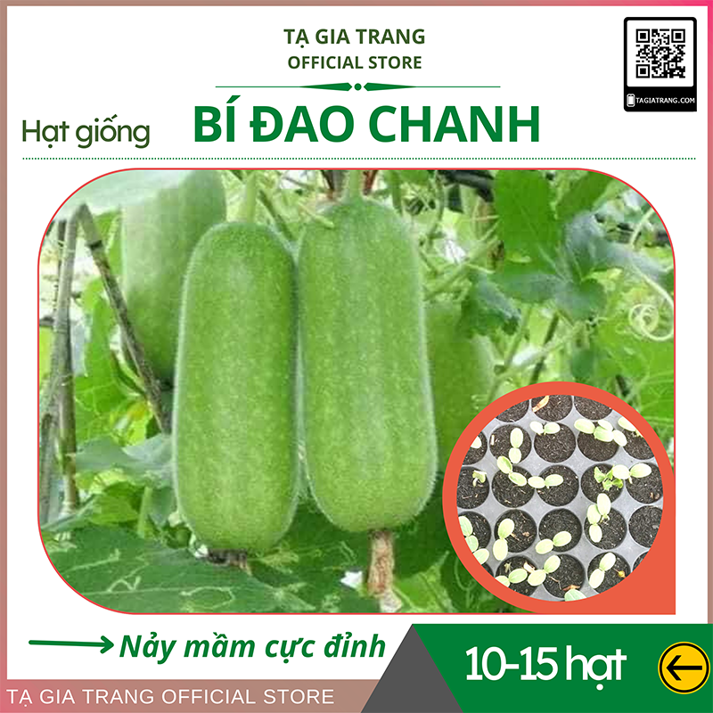 Hạt giống bí đao chanh (bí đao thanh trúc) - Gói 10-15h