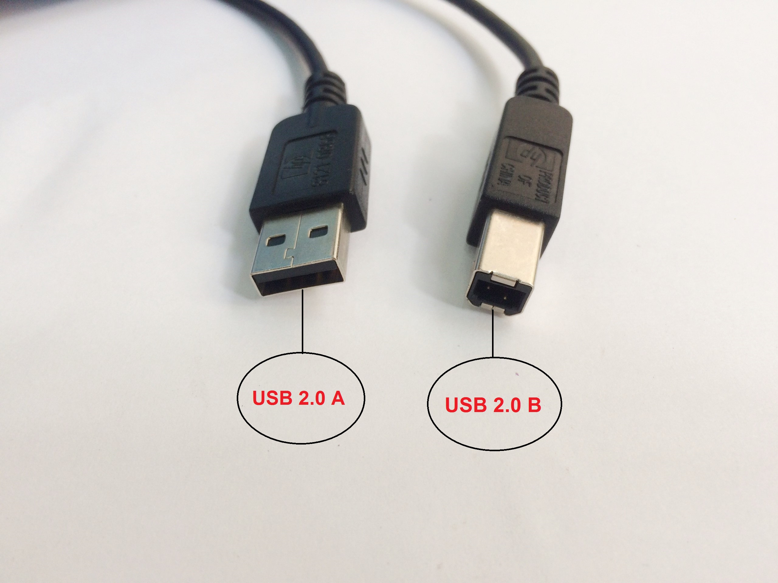Dây Cáp máy in HP 8121-0868 USB 2.0 A To B 1m83