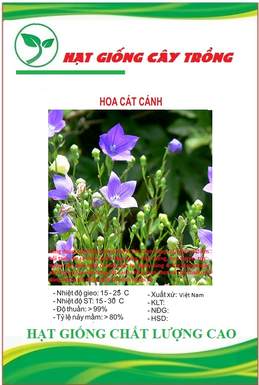 Hạt giống hoa cát cánh - Gói 50 hạt