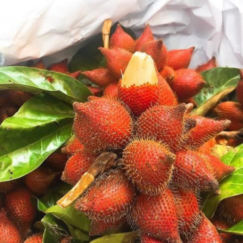 CÂY GIỐNG MÂY THÁI,SIÊU QUẢ SIÊU NGON, SIÊU KINH TẾ