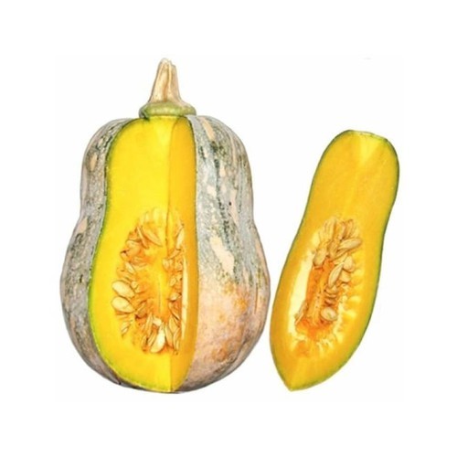 Hạt giống Bí Mật ( bí đỏ )  F1  - Gói 10 hạt