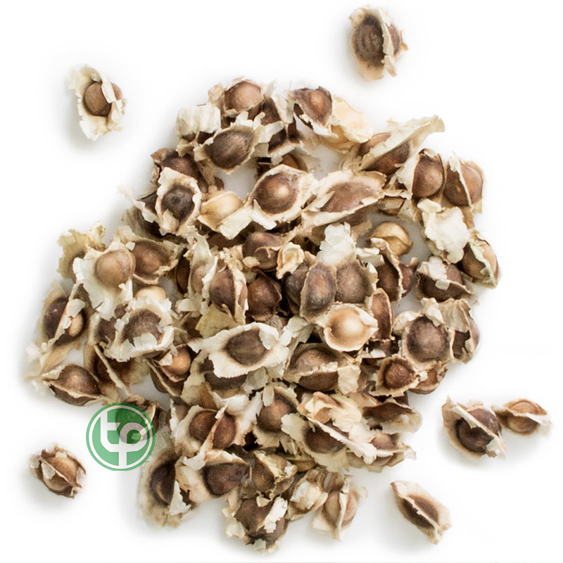 Hạt chùm ngây khô 100g - Thảo Dược Tấn Phát