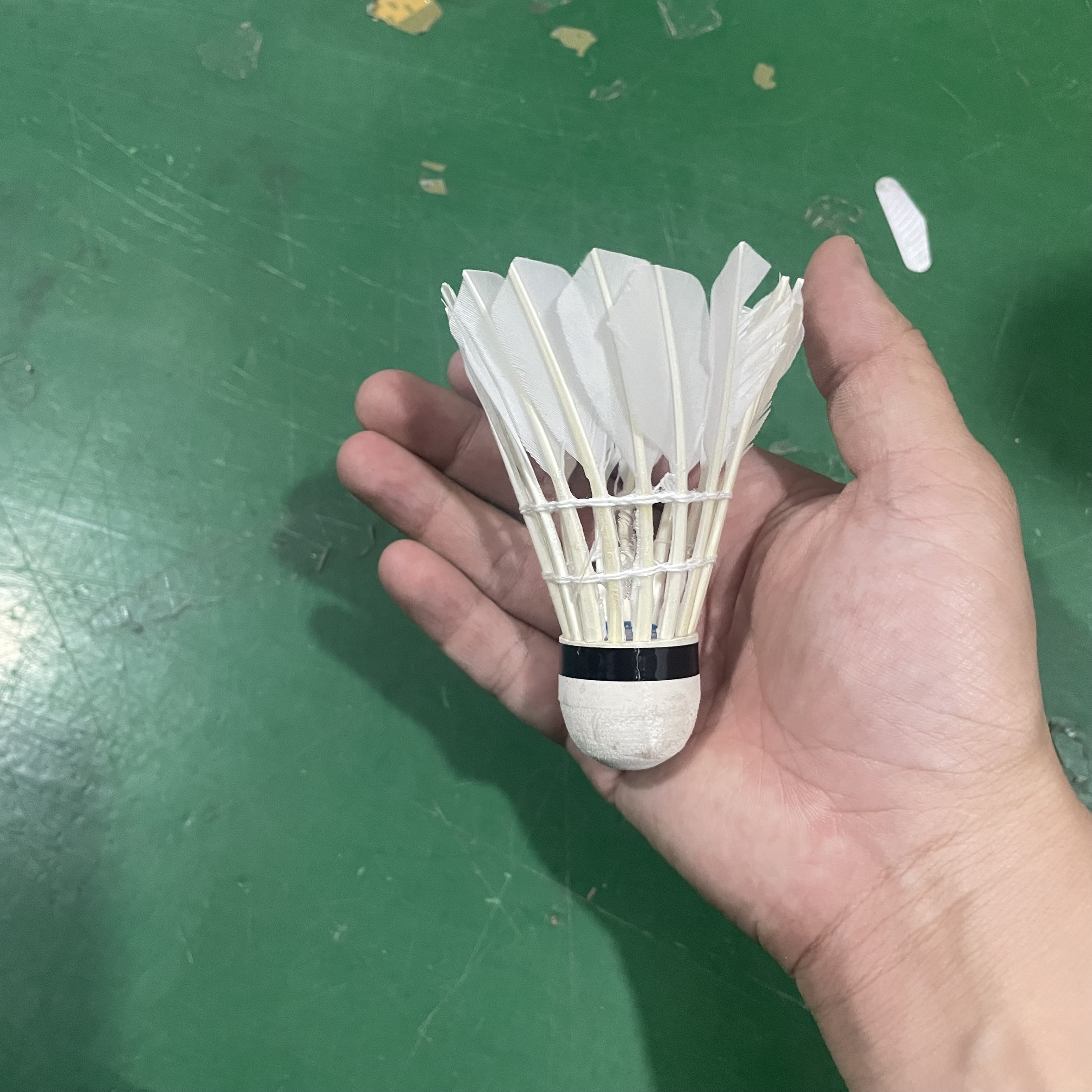 Quả Cầu Lông Jiasheng 100 - Trái cầu lông lông vũ