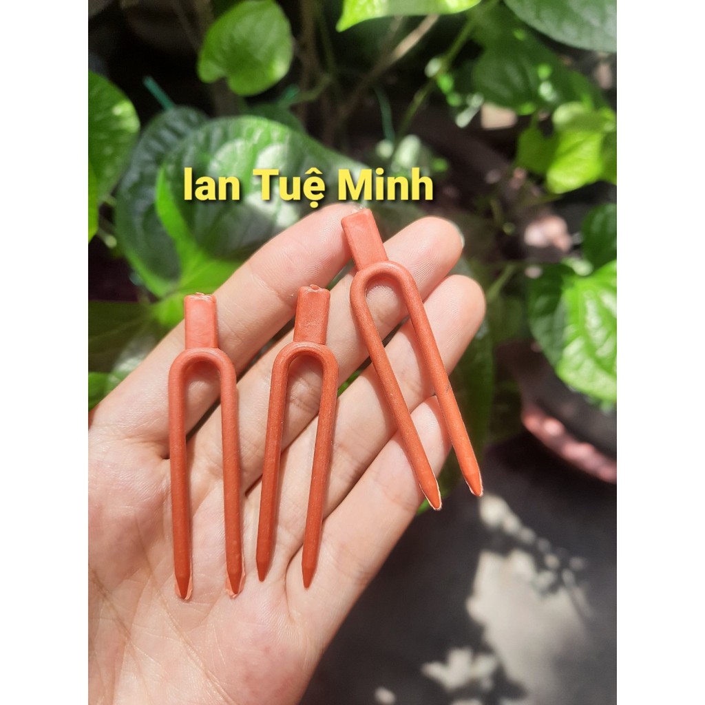10 Kẹp cố định kie phong lan